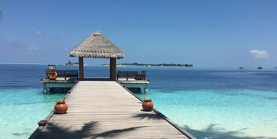 A rustic wooden pier extends towards the ocean. The water is clear. There's a charming thatched hut at the end of the pier. It's an idyllic setting.